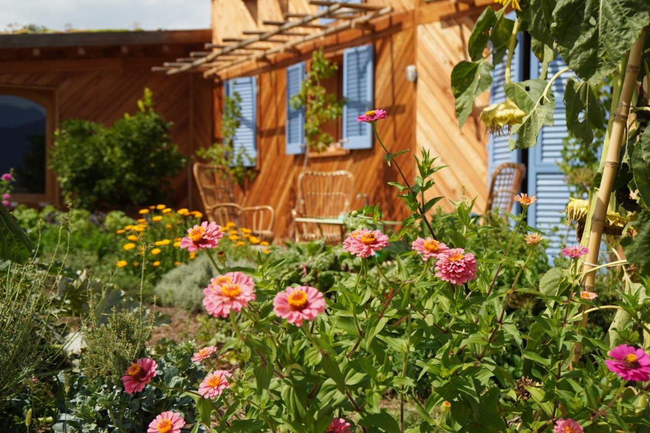 مبيت وإفطار Marciaga Casa Viva المظهر الخارجي الصورة